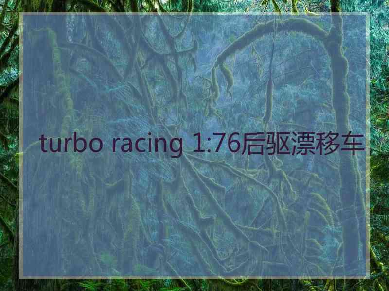 turbo racing 1:76后驱漂移车