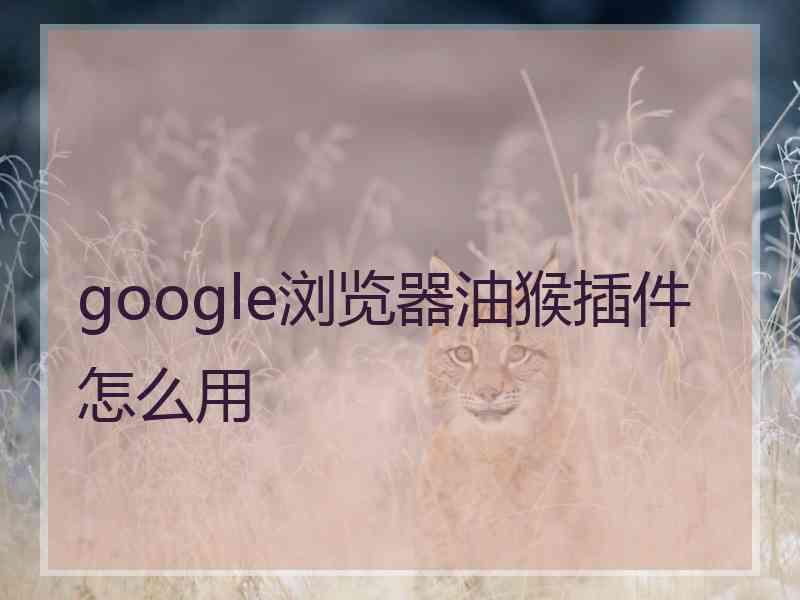 google浏览器油猴插件怎么用