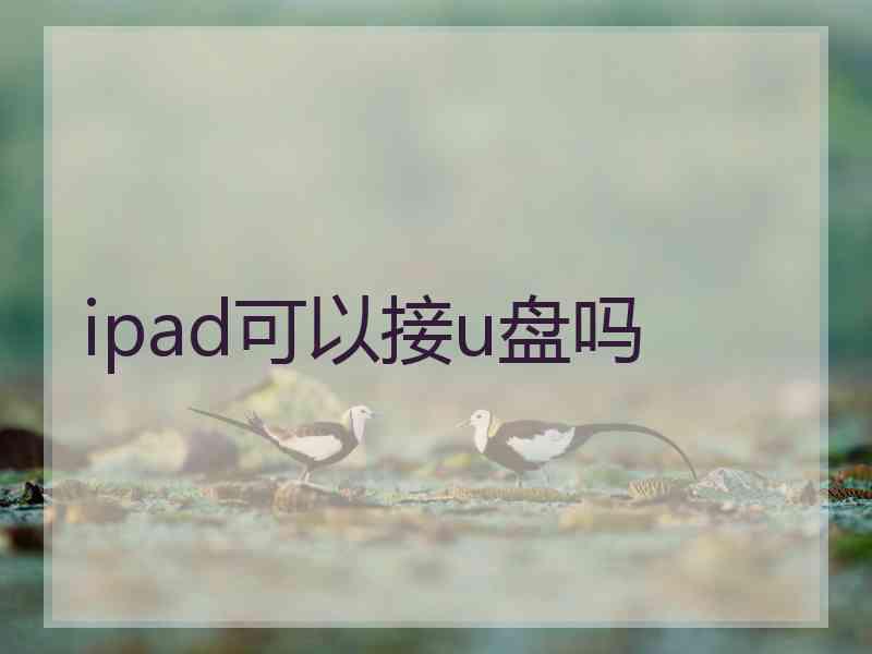 ipad可以接u盘吗