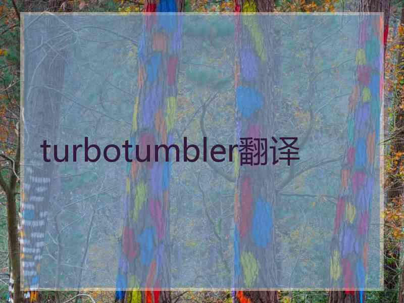 turbotumbler翻译