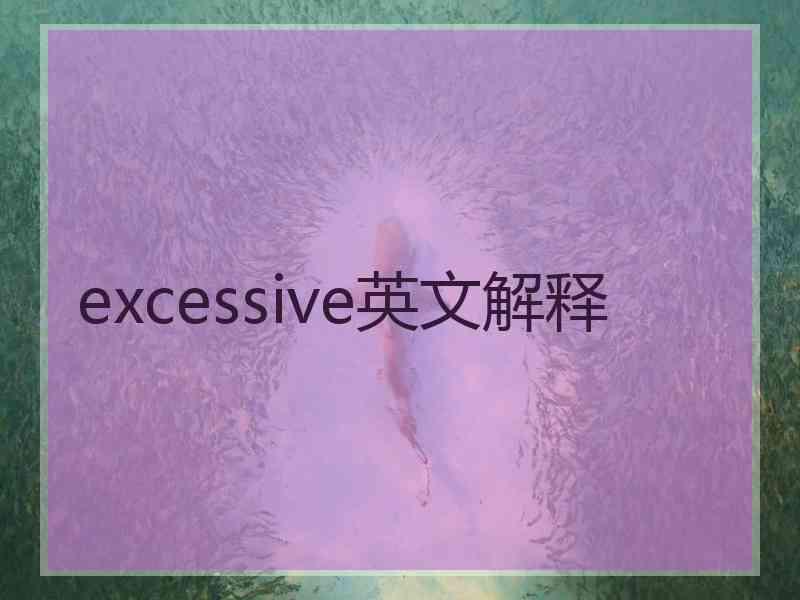 excessive英文解释