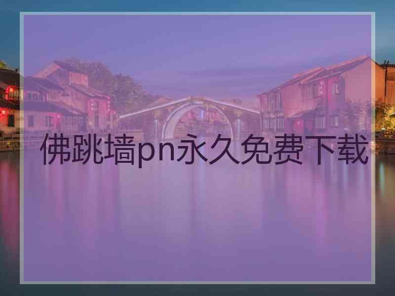 佛跳墙pn永久免费下载