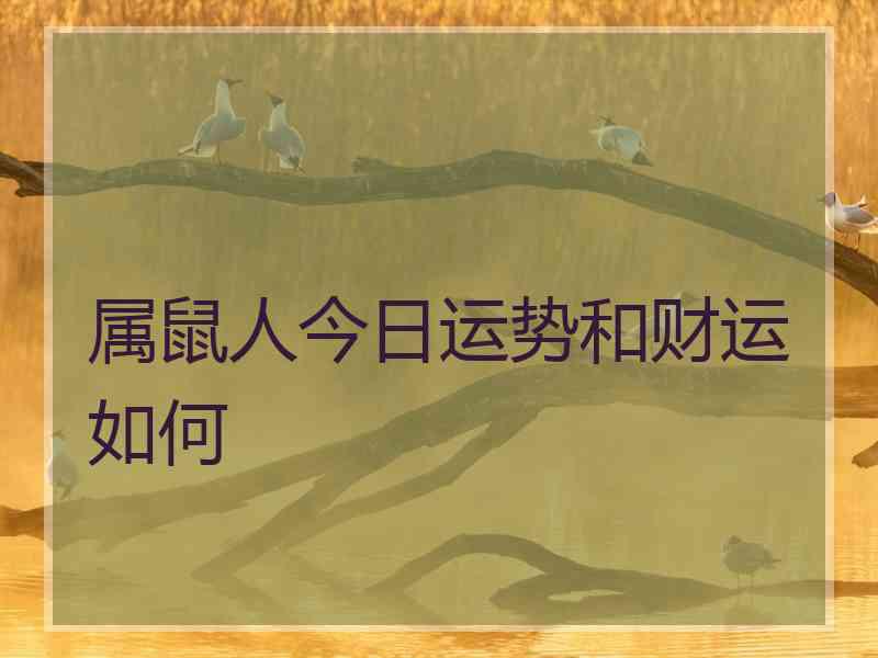 属鼠人今日运势和财运如何