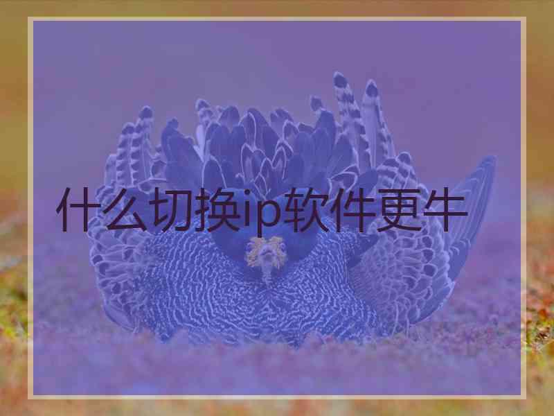 什么切换ip软件更牛