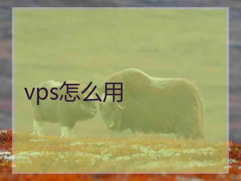 vps怎么用