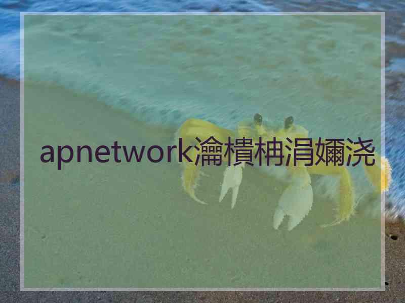 apnetwork瀹樻柟涓嬭浇