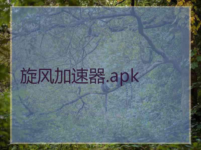 旋风加速器.apk