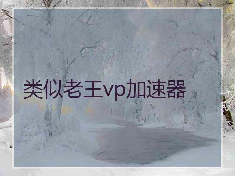 类似老王vp加速器