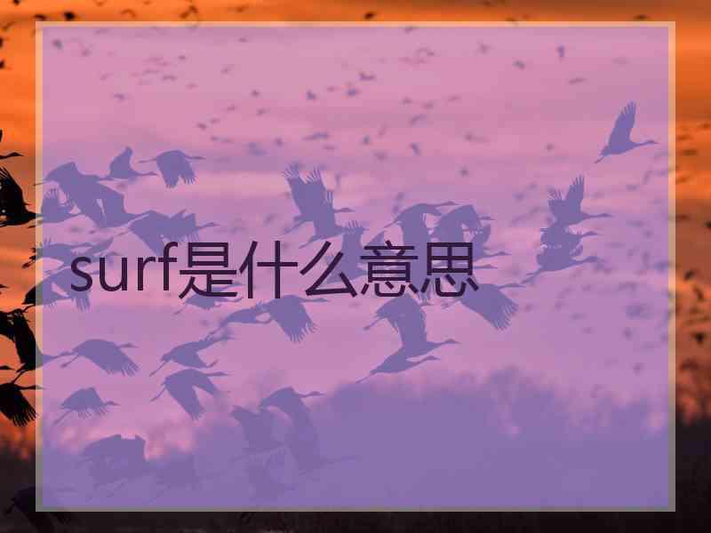 surf是什么意思