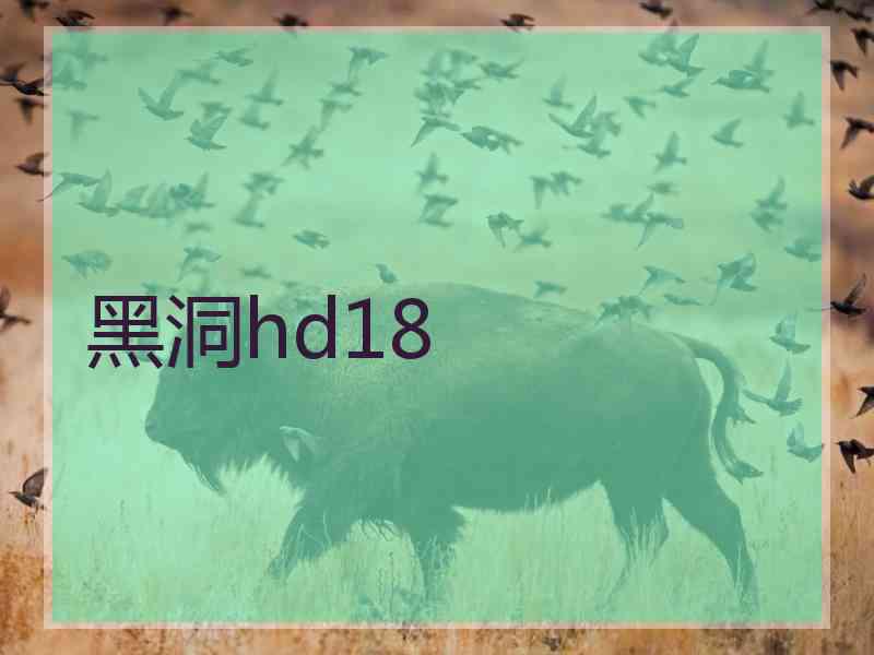 黑洞hd18