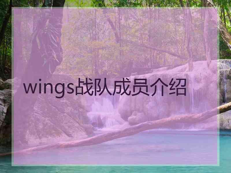 wings战队成员介绍