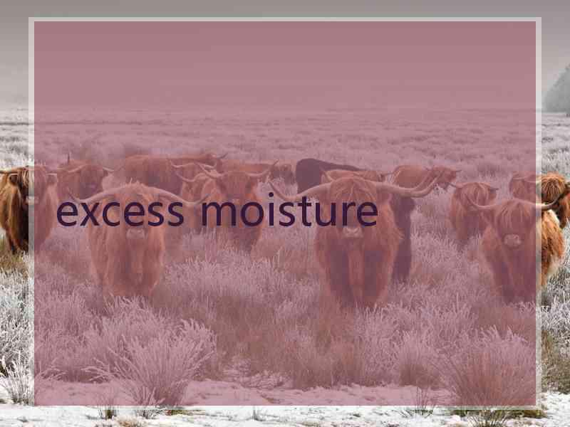 excess moisture