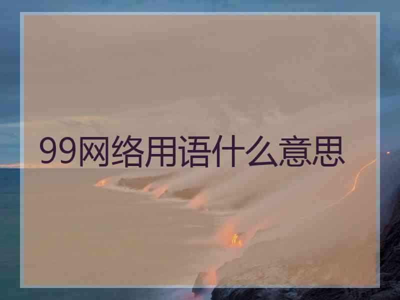 99网络用语什么意思