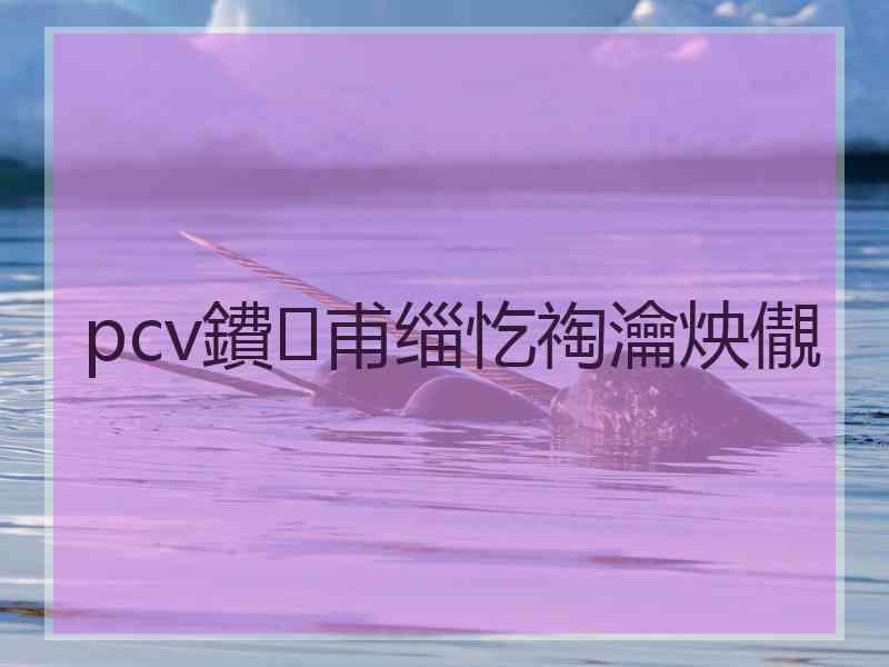 pcv鐨甫缁忔祹瀹炴儬