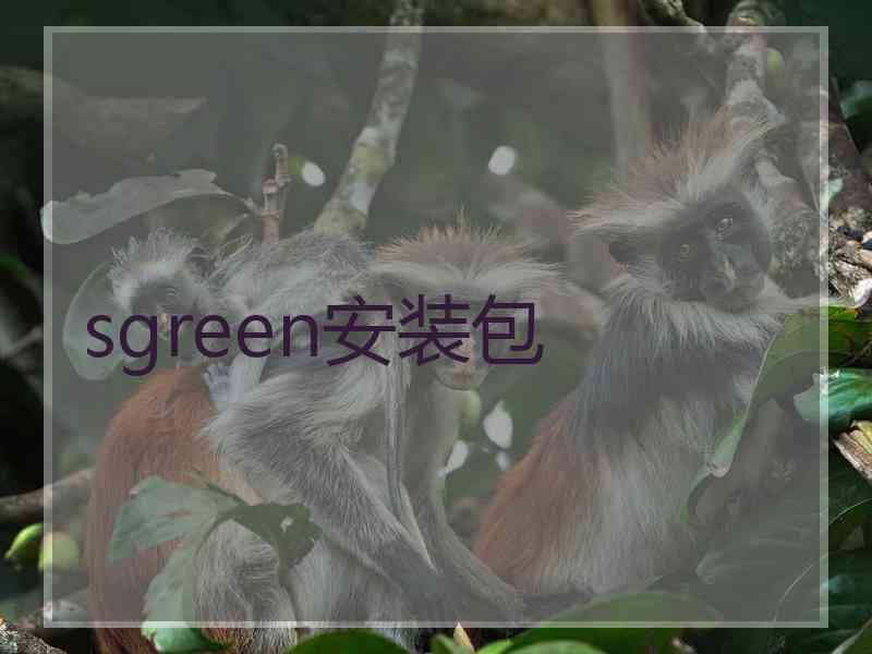 sgreen安装包