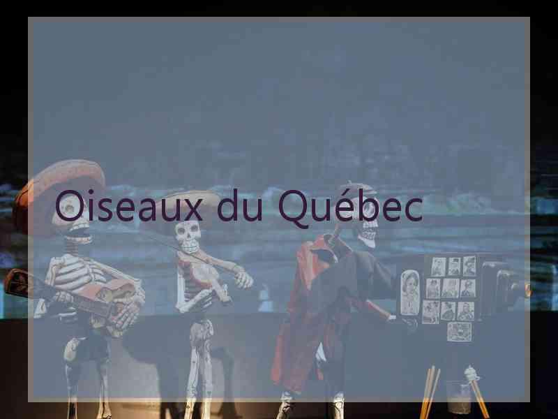 Oiseaux du Québec