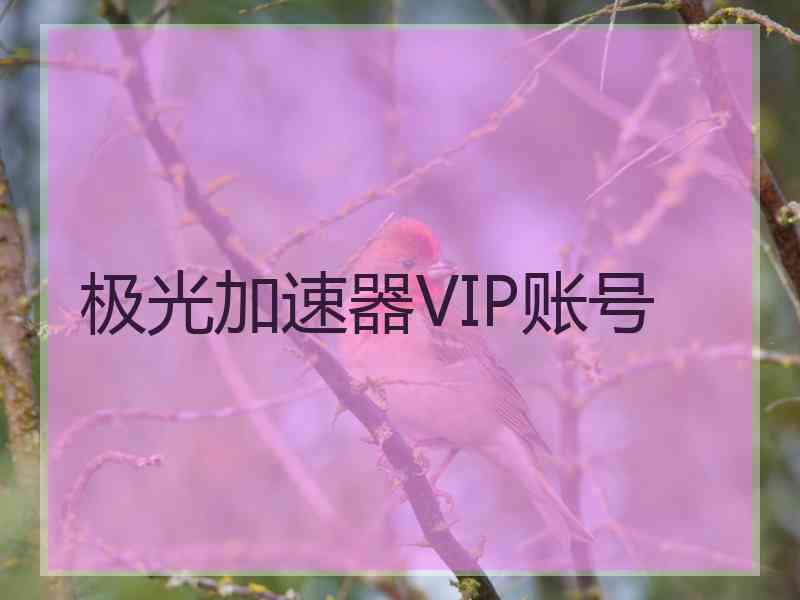 极光加速器VIP账号