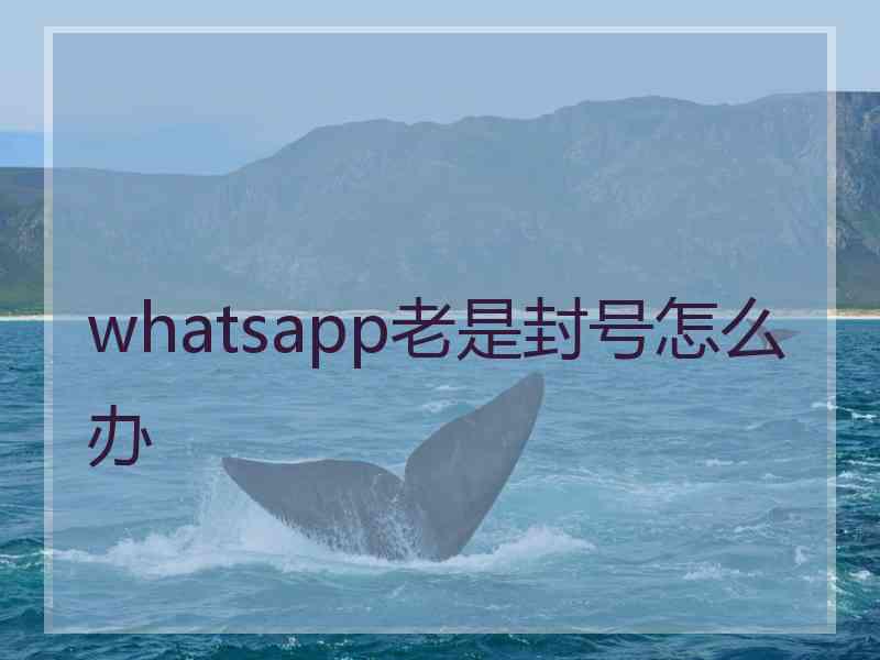 whatsapp老是封号怎么办