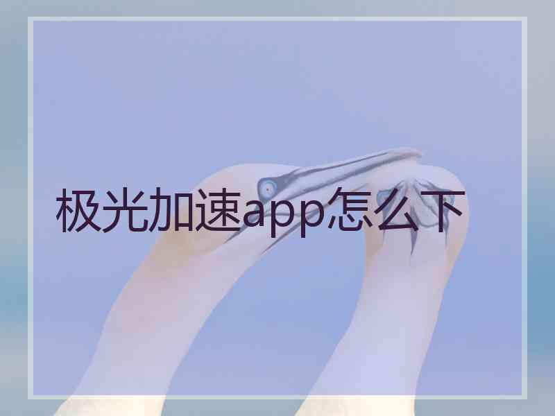 极光加速app怎么下