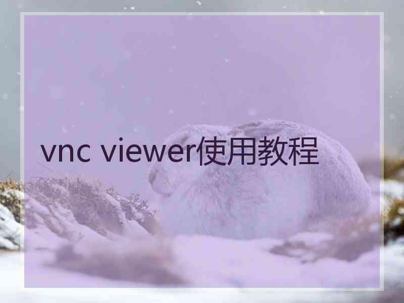 vnc viewer使用教程