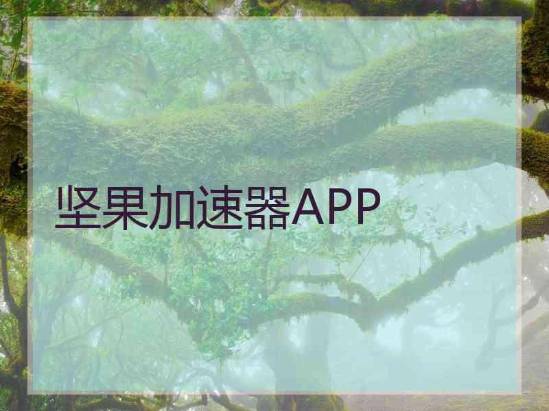 坚果加速器APP