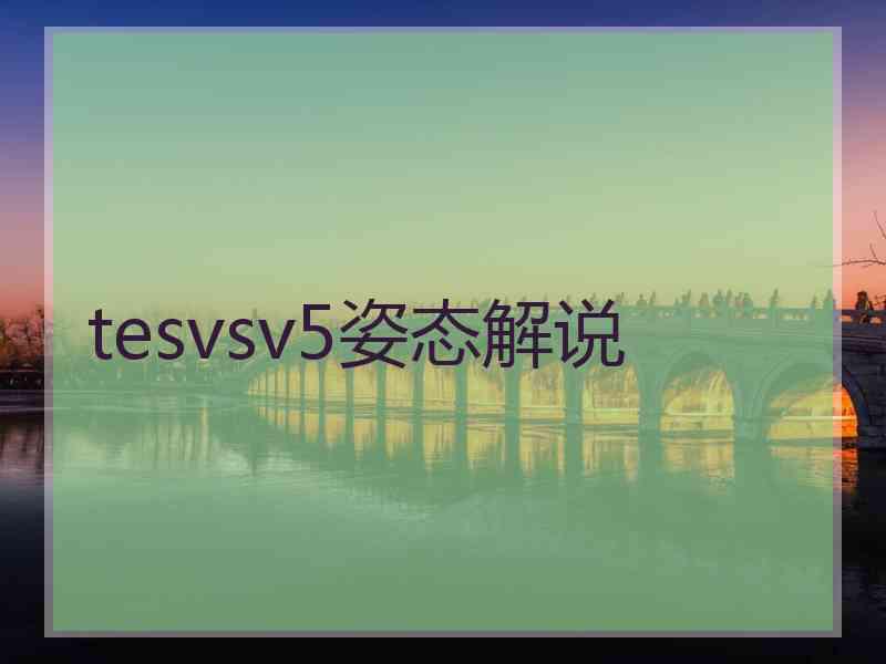 tesvsv5姿态解说