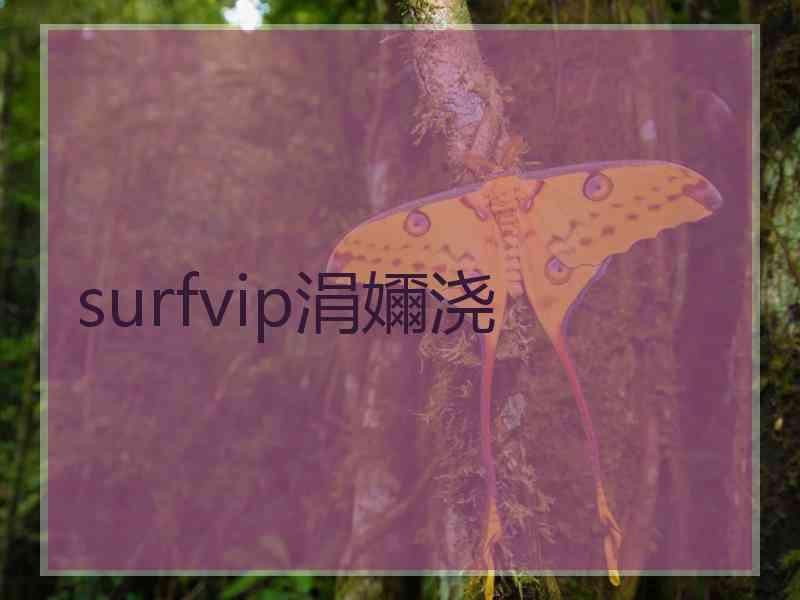 surfvip涓嬭浇