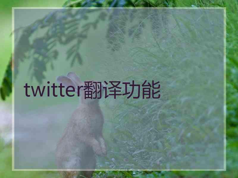 twitter翻译功能