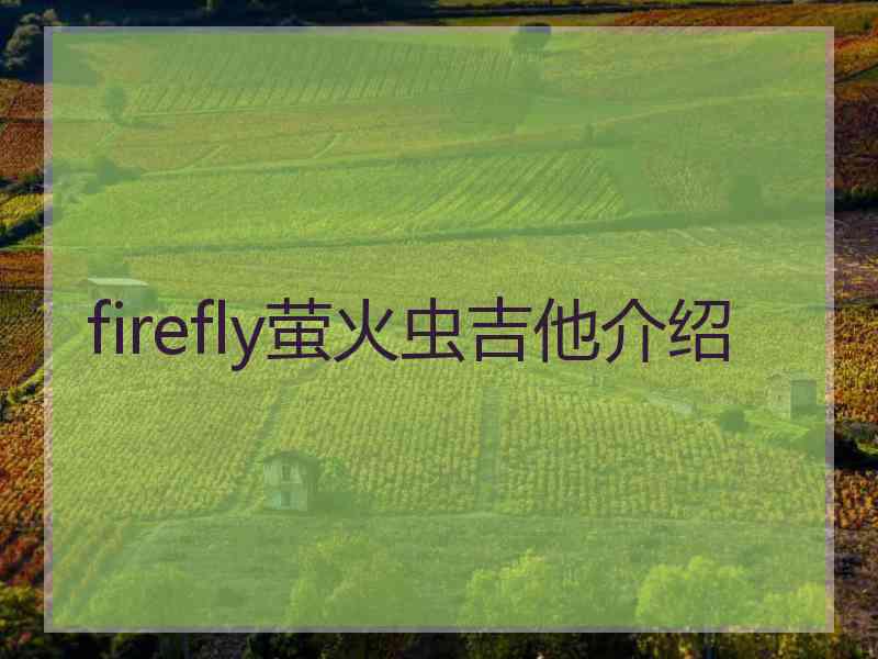 firefly萤火虫吉他介绍