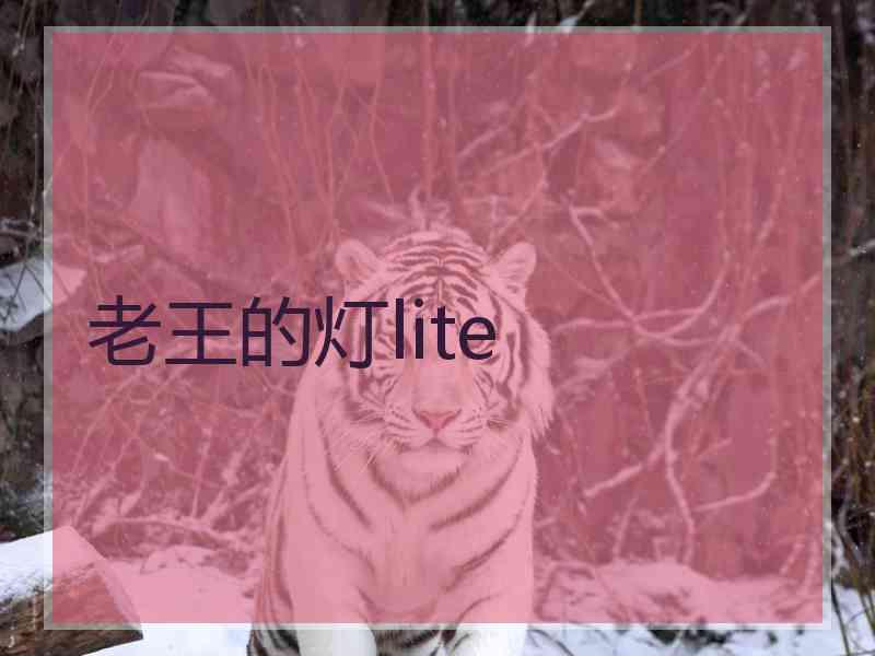 老王的灯lite