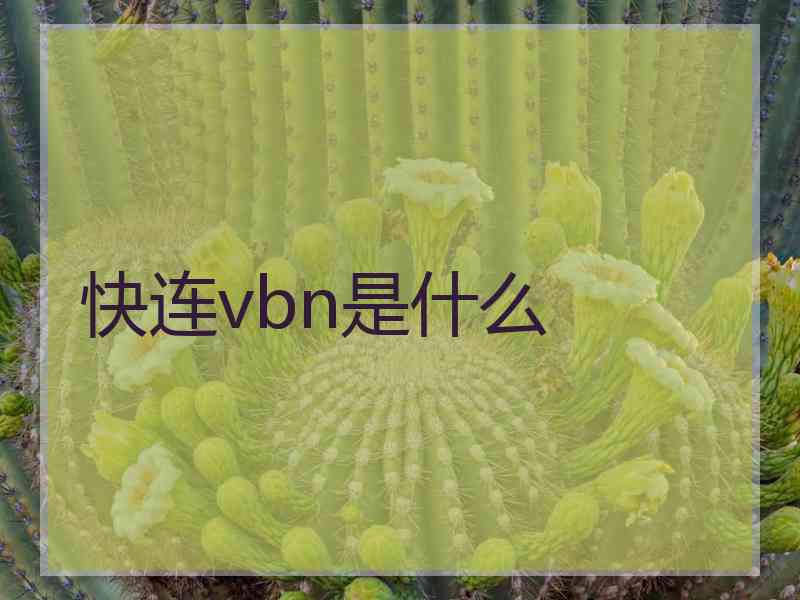 快连vbn是什么