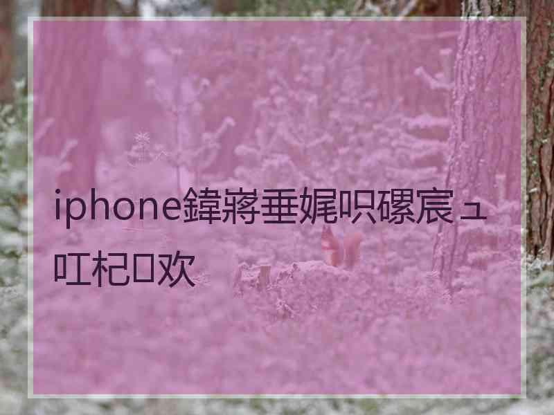 iphone鍏嶈垂娓呮磥宸ュ叿杞欢