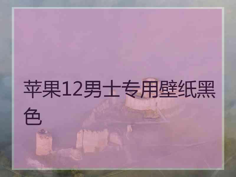 苹果12男士专用壁纸黑色