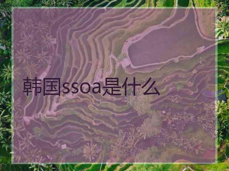 韩国ssoa是什么