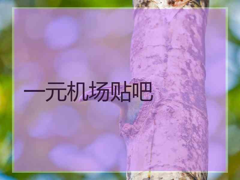 一元机场贴吧