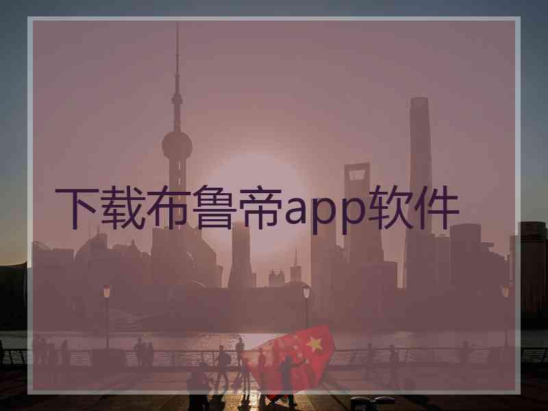 下载布鲁帝app软件