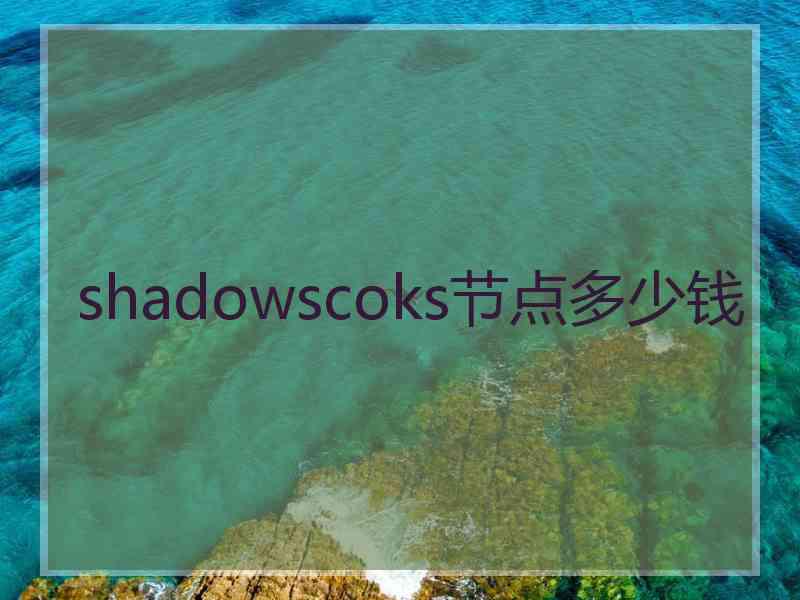 shadowscoks节点多少钱