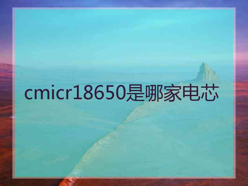 cmicr18650是哪家电芯