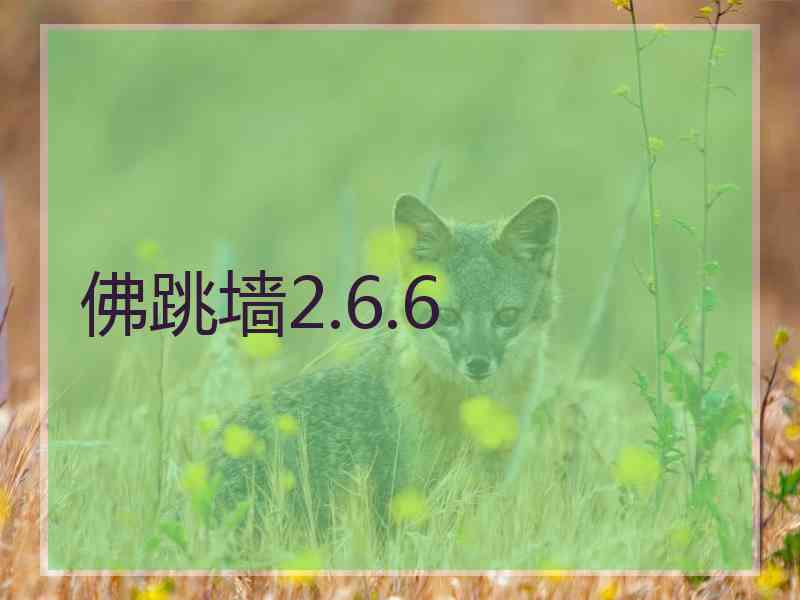 佛跳墙2.6.6