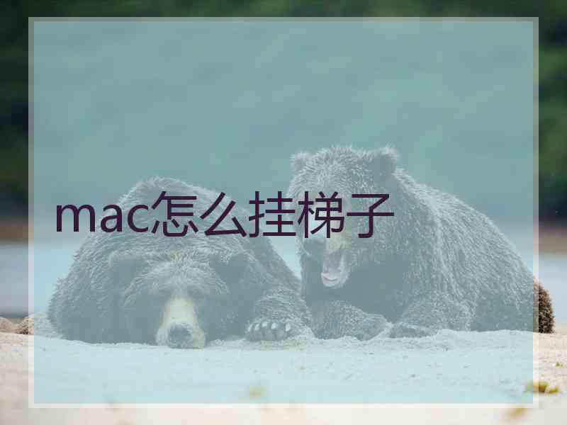 mac怎么挂梯子