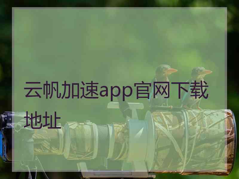 云帆加速app官网下载地址