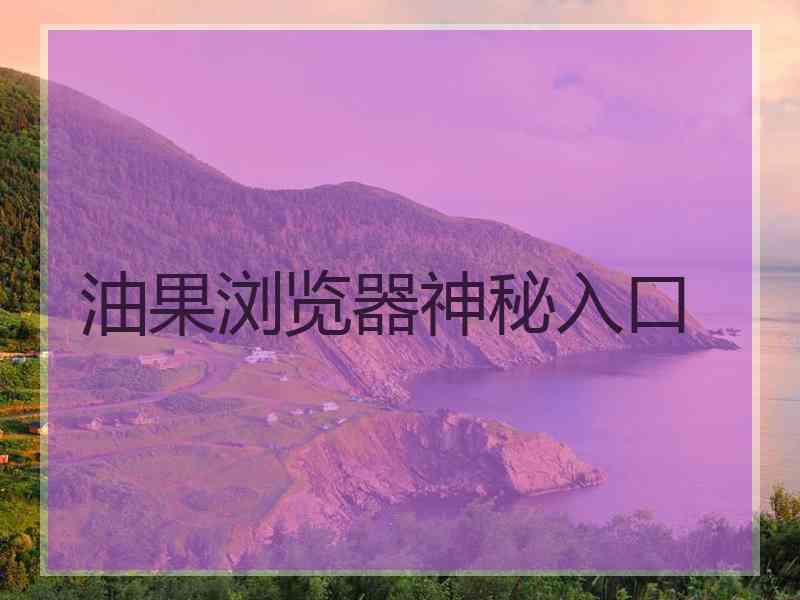 油果浏览器神秘入口