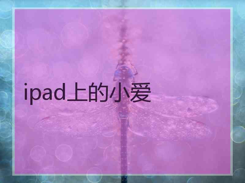 ipad上的小爱