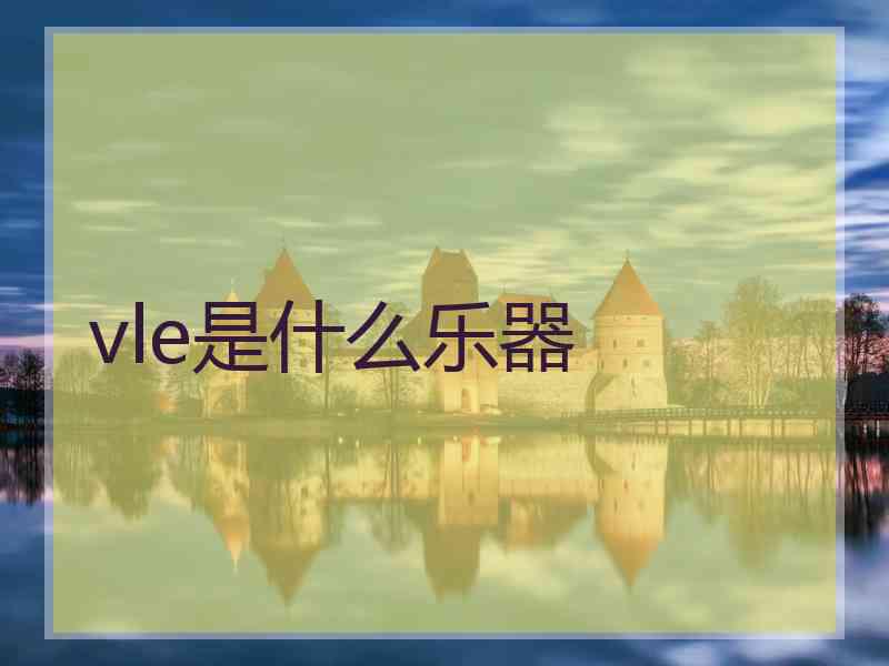 vle是什么乐器