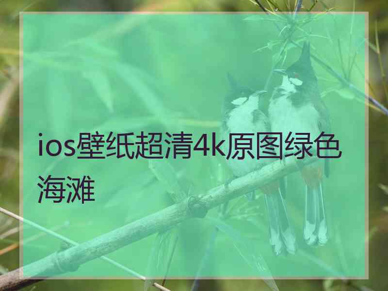 ios壁纸超清4k原图绿色海滩