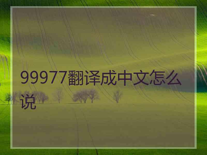 99977翻译成中文怎么说