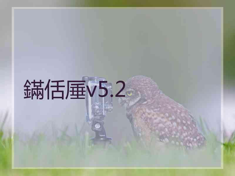 鏋佸厜v5.2