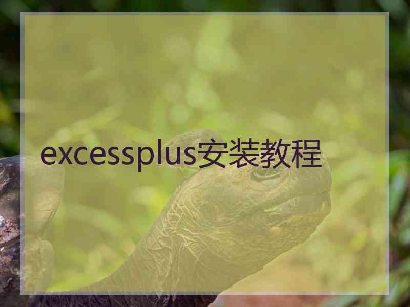 excessplus安装教程