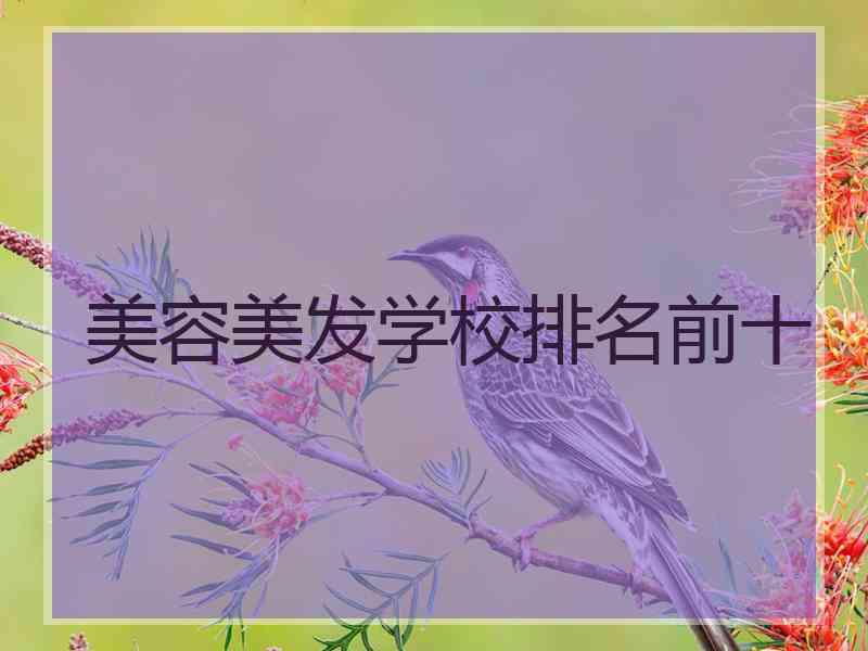 美容美发学校排名前十