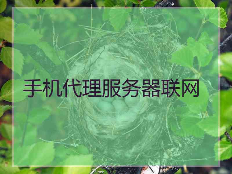 手机代理服务器联网